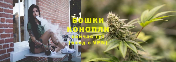 ПСИЛОЦИБИНОВЫЕ ГРИБЫ Богданович