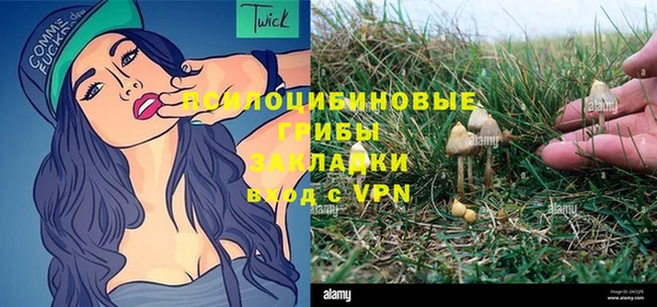 ПСИЛОЦИБИНОВЫЕ ГРИБЫ Богданович