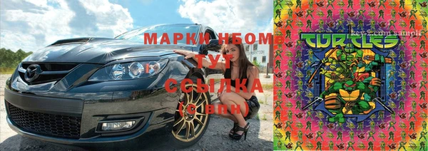 гидропоника Бородино