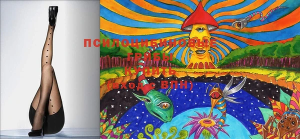 винт Бронницы