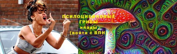 винт Бронницы