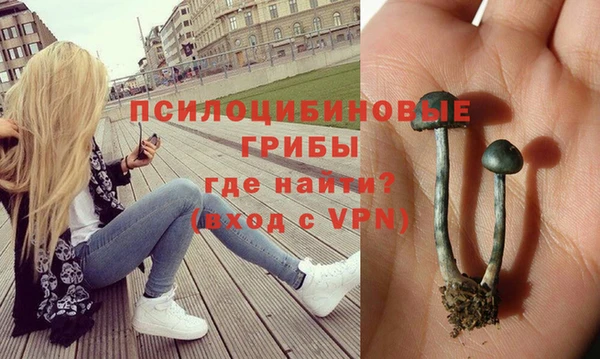 гашишное масло Ветлуга