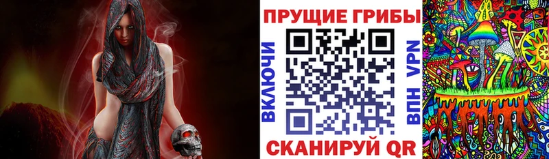 Псилоцибиновые грибы MAGIC MUSHROOMS  Горно-Алтайск 